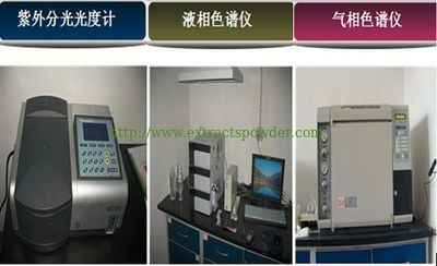 Evergreen Biotech Inc