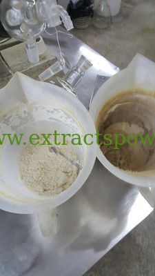 Natural Triptolide 98%, Tripterine 98% Cas: 38748-32-2,34157-83-0