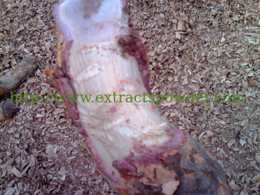 Triptolide powder Triperygium wilfordii Extract Case No.: 38748-32-2