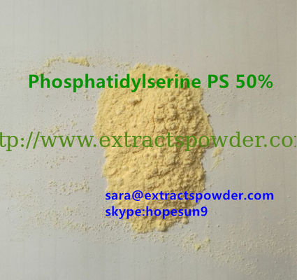 natural Soybean Phosphatidyl Serine PS,Soya Phosphatidylserine, Soybean Seed PS 20%50%