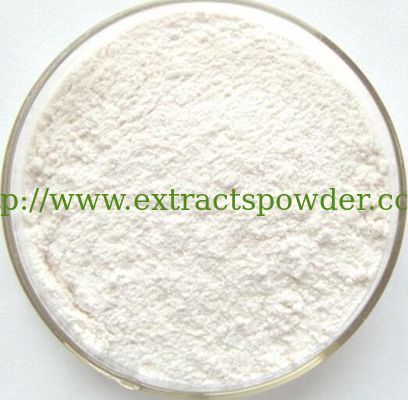 98% Gastrodin/Gastrodine CAS No.:62499-27-8