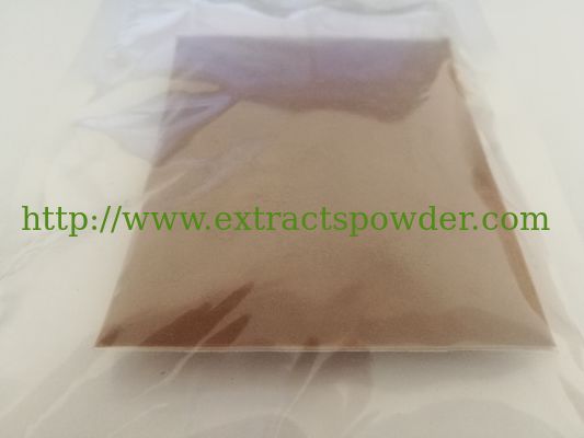 Ganoderma Extract,Ganoderma lucidum Extract Polysaccharides 30