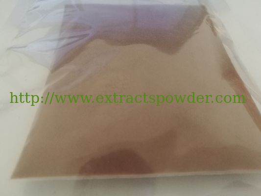 Ganoderma Extract 30%Polysaccharides, 2%Triterpene
