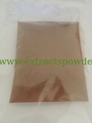 Ganoderma Extract 30%Polysaccharides, 2%Triterpene