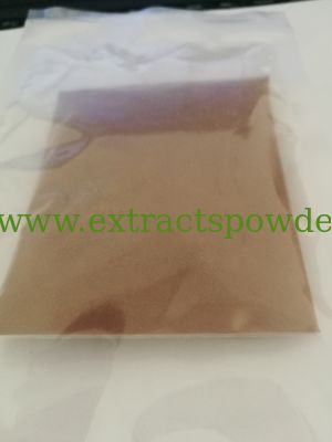 Reishi mushroom extract Polysaccharide 50%; Triterpenoid 1% HPLC