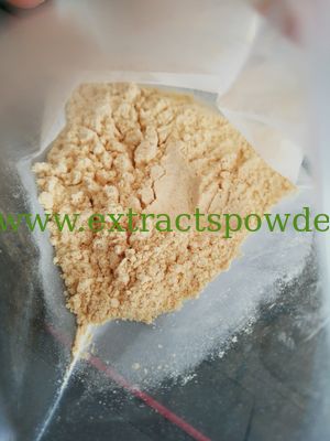 Radix Notoginseng P.E,Radix Notoginseng Extract,Radix Notoginseng Extract Powder