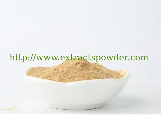 polyporus umbellatus powder, polyporus umbellatus extract, polyporus polysaccharides