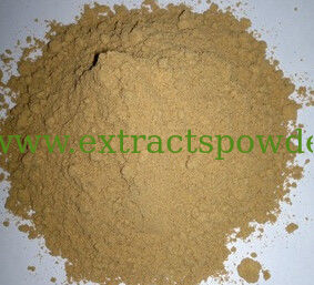 Gingerols 5hplc, Ginger Extract, Ginger Root Extract, Zingiber officinale Rosc.