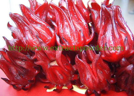 100% natural roselle extract 10:1, 20:1 for solid drinks