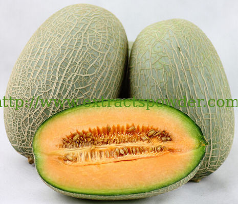 hami melon extract, cantaloupe extract, hami melon powder for beverages
