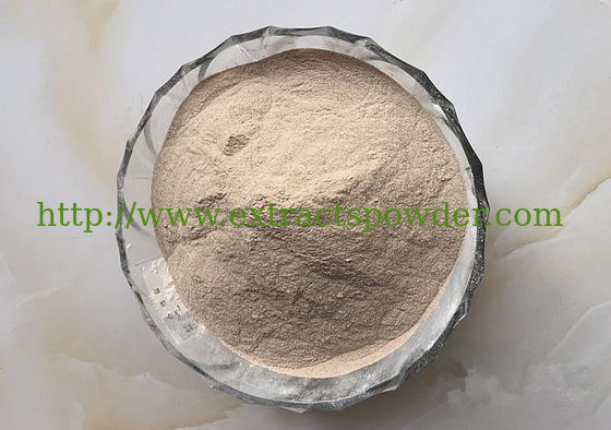 alkaline protease, alkaline protease enzyme, natural alkaline protease powder
