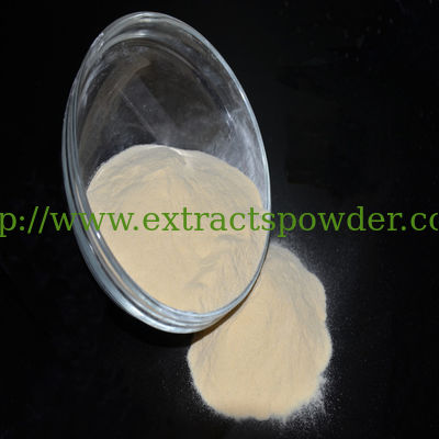 Mucinum Gastrtcum, Gastron, Gastric Mucin from hog mucous membrane CAS: 10047-33-3