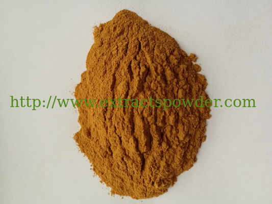 Cordyceps Extract, Cordyceps polysaccharide 10%, mannitol 7%, adenosine 0.25%