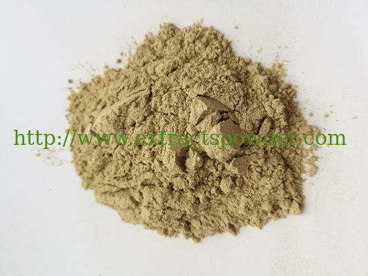 freeze dried Sea Cucumber Powder, pure Sea Cucumber Powder, Sea Cucumber Polysaccharides, ultrafine Sea Cucumber Powder