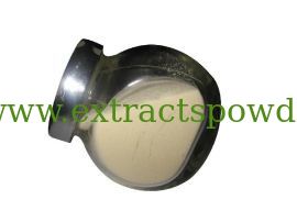 walnut protein peptide, walnut peptide 90, nut peptide powder