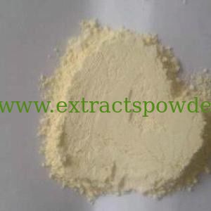 selenium enriched yeast, selenium yeast 2000ppm, nutritional selenium yeast