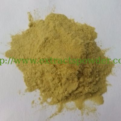 bovine bile powder, ox gall powder, ox gallbladder powder, bile extract