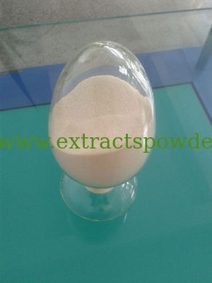 pea peptide, pea protein peptide powder, pisum sativum extract