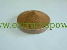 100% pure natural Cynarin Artichoke Extract powder for health products cas.#30964-13-7