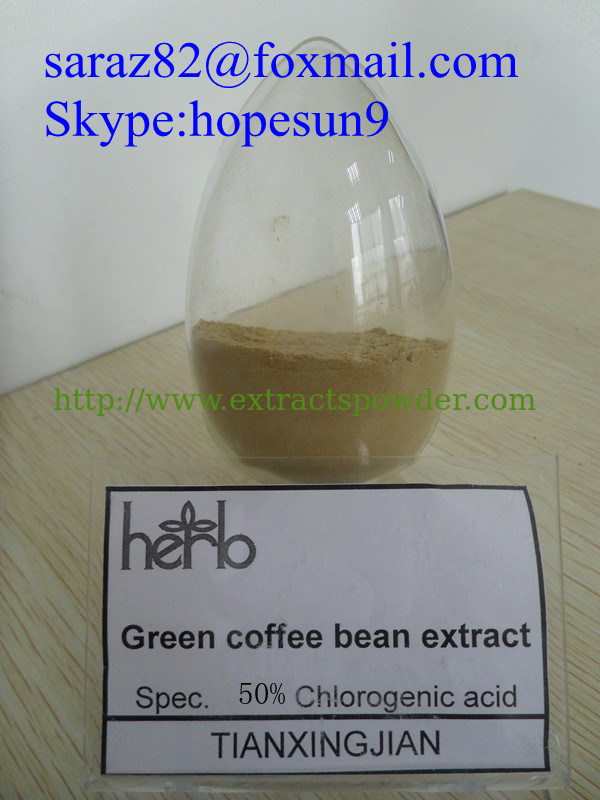 Coffea Robusta Green Coffee Bean Extract 50%Chlorogenic Acid CAS Number: 327-97-9