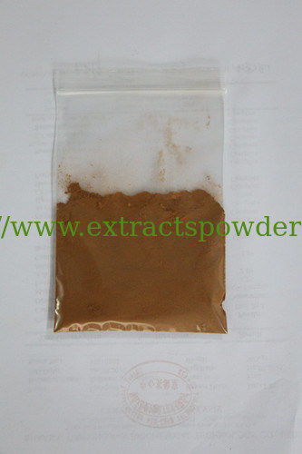 Horse Chestnut Extract,Horse Chestnut Extract Powder,Horse Chestnut P.E.