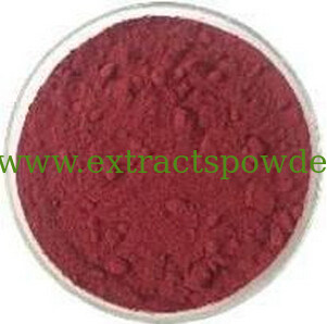 Brazilian Acai P.E.,Brazilian Acai Extract,Brazilian Acai Berry Extract,Acai Berry Extract