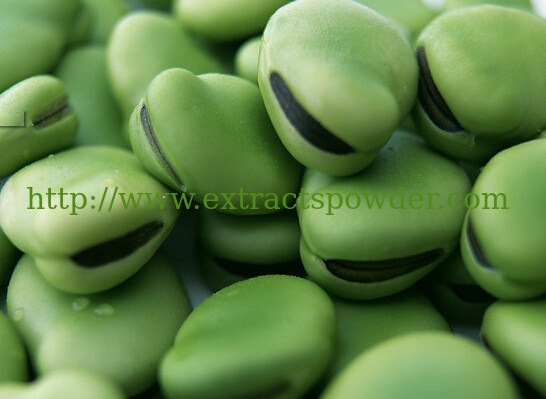 95%-98% D-pinitol,D-pinitol powder,Faba bean extract CAS No.10284-63-6