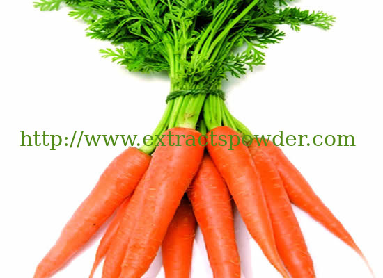 10%20%96%Beta Carotene,Beta Carotene powder,Carrot Extract Powder CAS: 7235-40-7