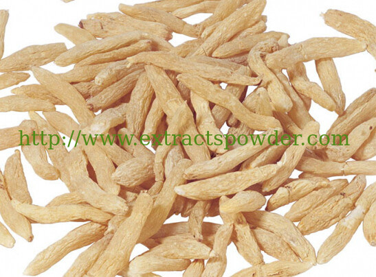 Dwarf lilyturf root tuber extract/Ophiopogon Thunb P.E./Radix Ophiopogonis Extract 10:1