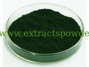 Chlorophyll,Chlorophyll powder from Plant leaves,Chlorophyll A,Chlorophyll B