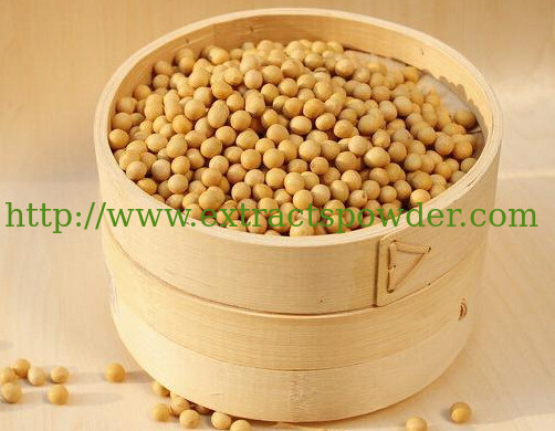 98%Soy Lecithin,Soy Lecithin Extract,Soy Lecithin Powder,Soy Extract CAS No.:8002-43-5