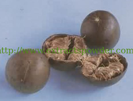 Natural Sweetener 10%~60% Mogroside V,80%Mogrosides,Luo Han Guo Extract,Monk Fruit Extract
