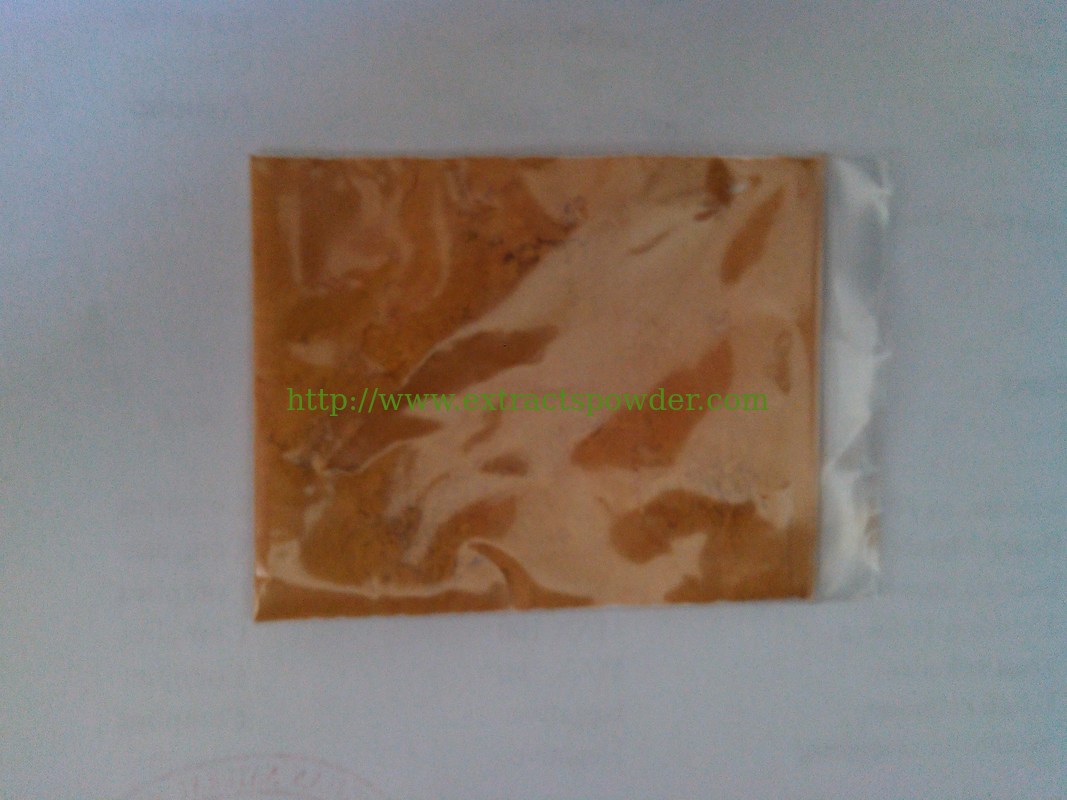 glabridin,glabridin powder,Glycyrrhizia glabra extract,licorice extract,liquorice extract