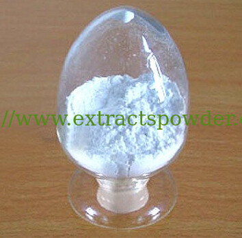 rosemary leaf extract rosemarinic acid 25%,ursolic acid 98%,rosemary extract CAS 77-52-1