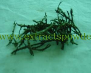 Chondrus Extract,Chondrus Extract powder,Chondrus p.e.,30% polysaccharides,10:1,20:1