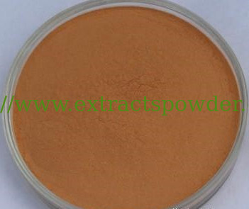 Radix Salviae Miltiorrhizae Extract, Danshen Extract, salvianolic Acid B cas.# 115939-25-8