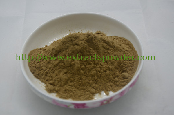Factory Direct Supply Feed Additive 100% Natural Yucca Extract CAS No:90147-57-2