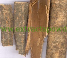 Ash Bark Extract,Ash Bark Extract powder,cortex Fraxini Bark Extract,Cortex Fraxini Bark E