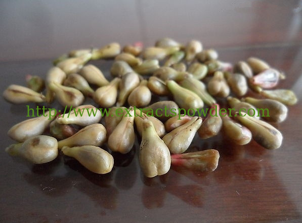 Organic Grape Seed Extract high Orac Value Vitis vinifera powder CAS No.:  90147-57-2