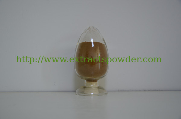 white willow bark extract for sciatica,white willow bark extract for pain relief