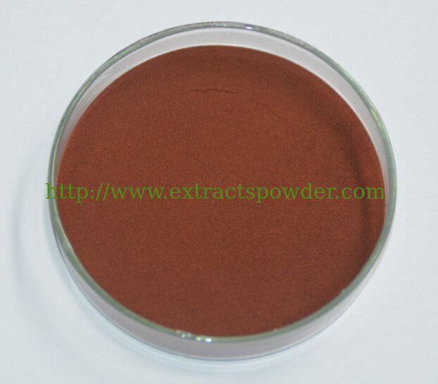 pine bark extract for skin,pine bark extract for hair loss,pine bark extract inflammation