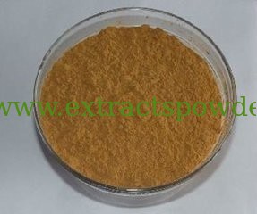 Cat's Claw Extract, Cat's Claw Extract Powder, Cats Claw P.E. Alkaloids 3%~5%, 10:1
