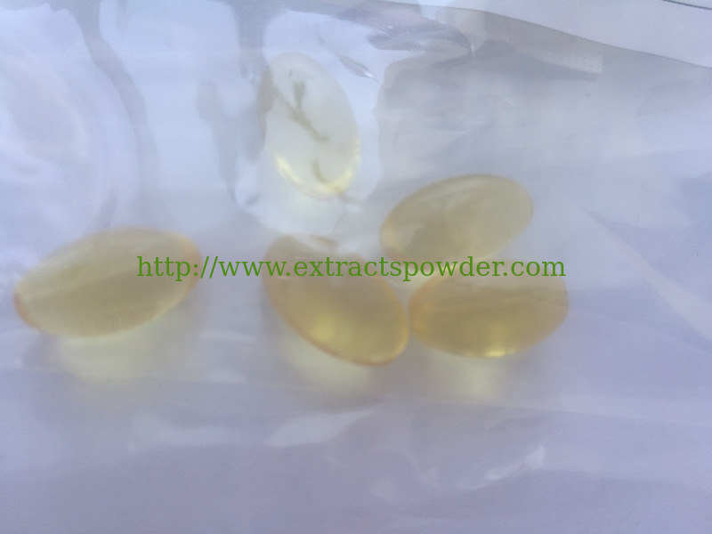 reishi spore oil, ganoderma lucidum spore oil softgels, reishi spore oil triterpene