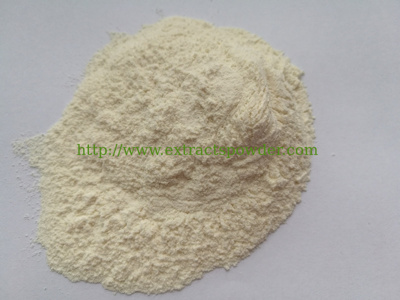 shark cartilage powder, fine shark cartilage powder, sharek cartilage powder for health supplement