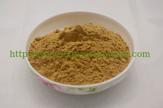 Extracto de Antrodia cinnamomea/polisacárido de Antrodia cinnamomea
