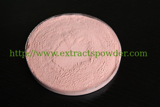 Secado por rocío de granadas orgánicas en polvo para bebidas