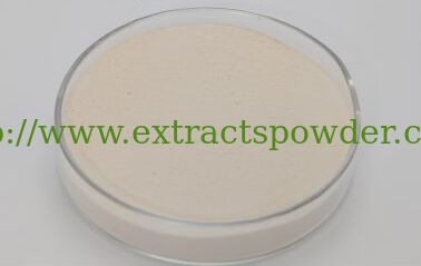 Extracto de salvado de arroz con ceramidas, fitoceramidas, extracto de cáscara de arroz con ceramidas, ceramida liposómica Cas. 104404-17-3